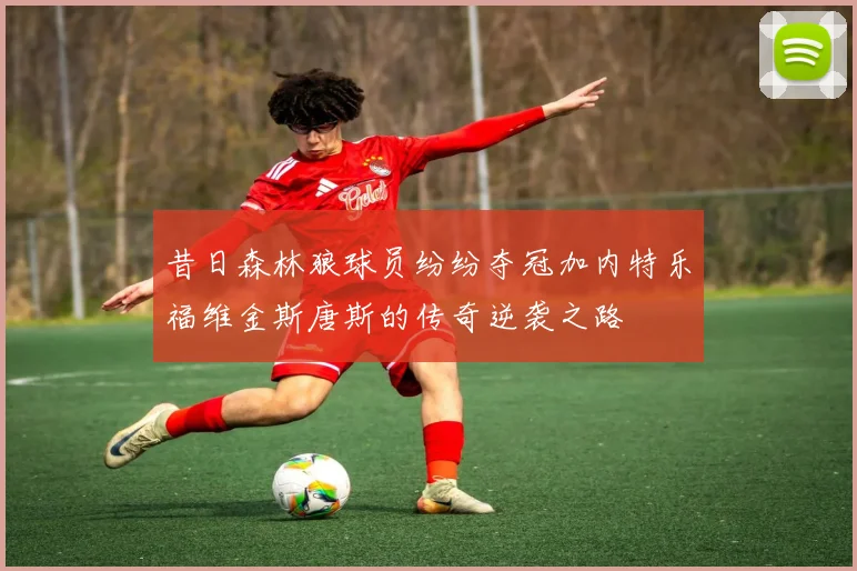 昔日森林狼球员纷纷夺冠加内特乐福维金斯唐斯的传奇逆袭之路