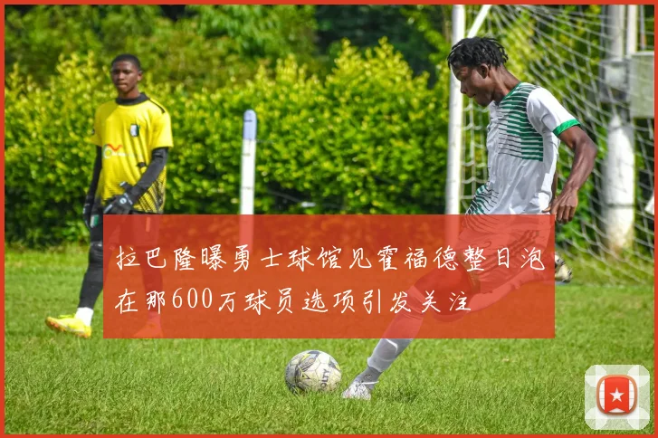 拉巴隆曝勇士球馆见霍福德整日泡在那600万球员选项引发关注